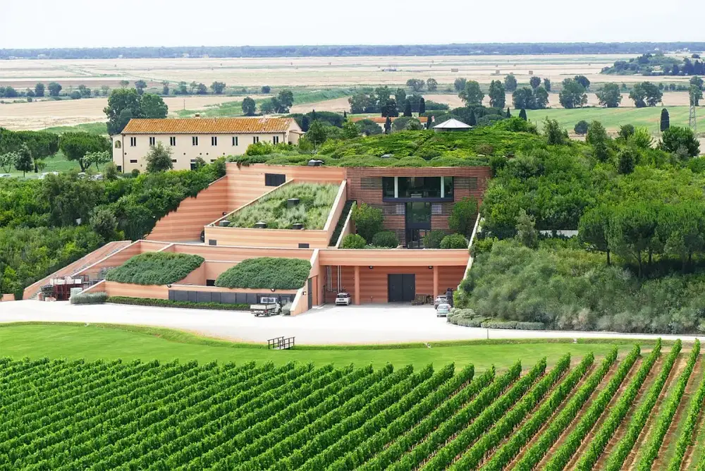 Antinori-Kellerei Tenuta Le Mortelle