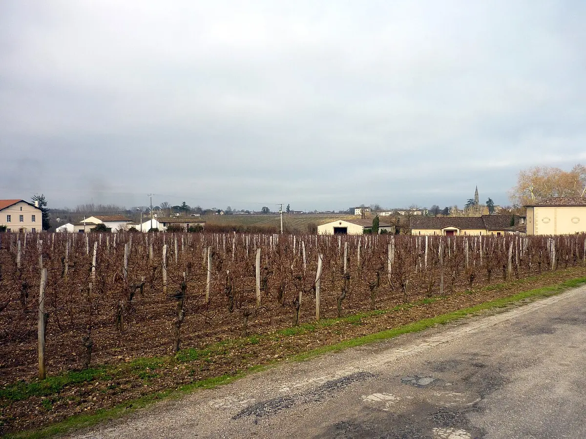 Weinberg — Bordeaux · Pomerol