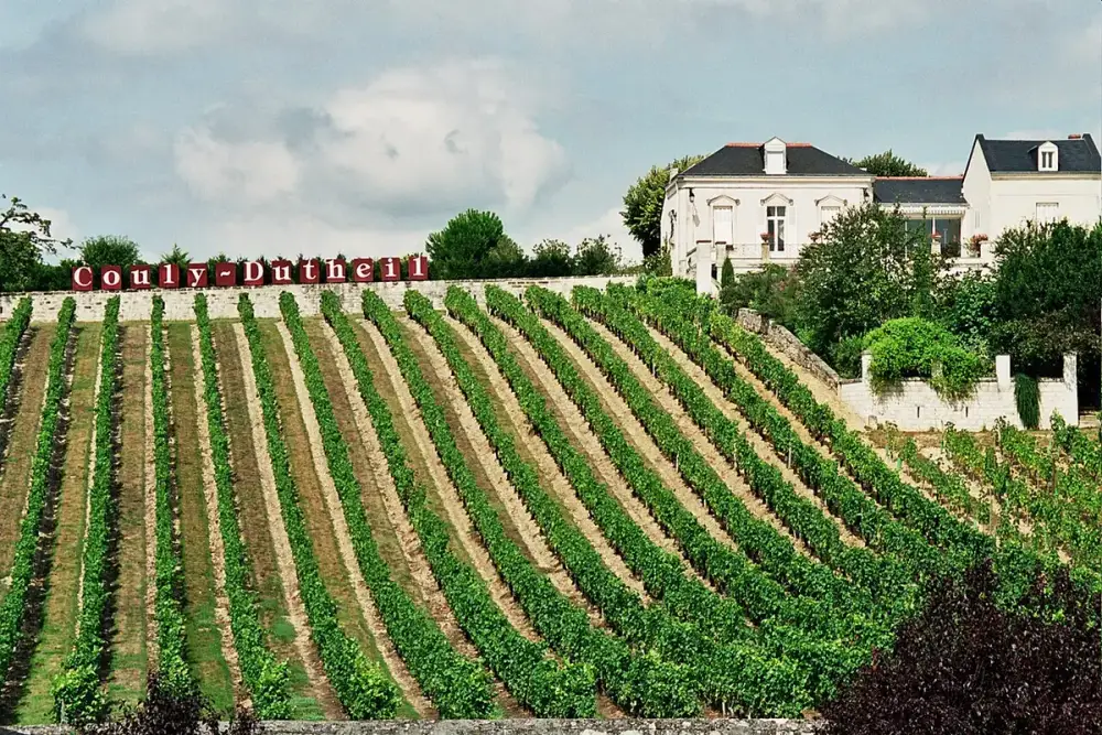 Weinberg — Loiretal
