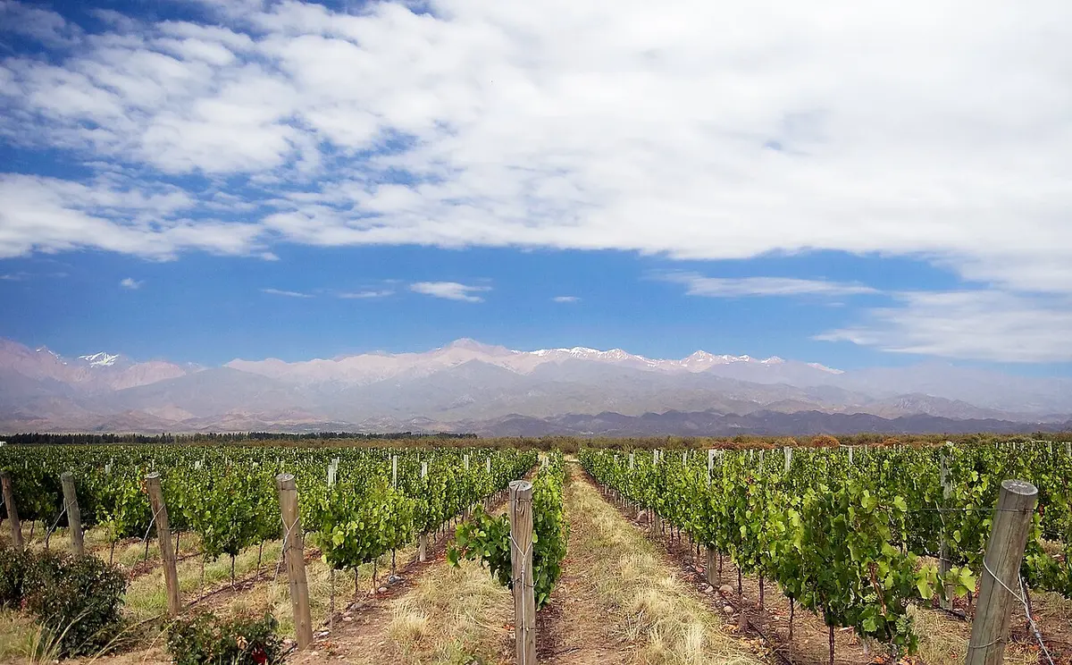 Weinberg — Mendoza · Los Árboles, Valle de Uco
